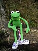 Kermit the Guardian